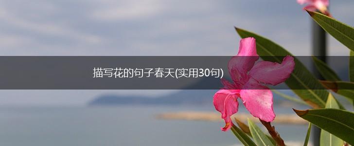 描写花的句子春天(实用30句),第1张