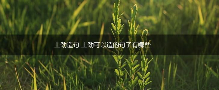 上劲造句 上劲可以造的句子有哪些,第1张