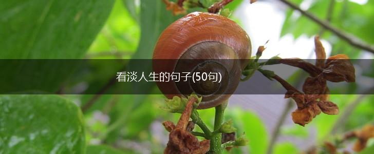 看淡人生的句子(50句),第1张