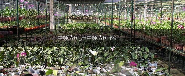 中频造句_用中频造句举例,第1张 中频造句_用中频造句举例,第1张