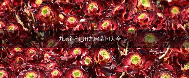 九层造句_用九层造句大全,第1张