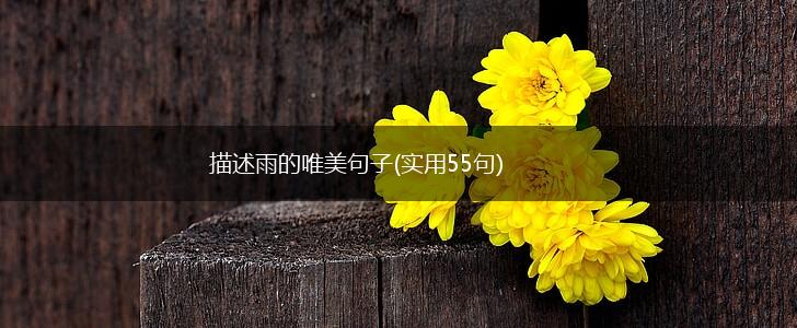描述雨的唯美句子(实用55句),第1张