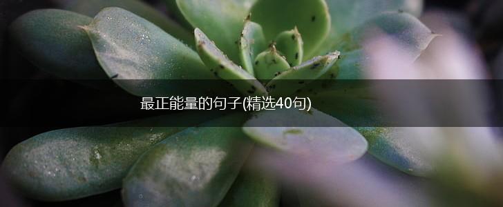 最正能量的句子(精选40句),第1张