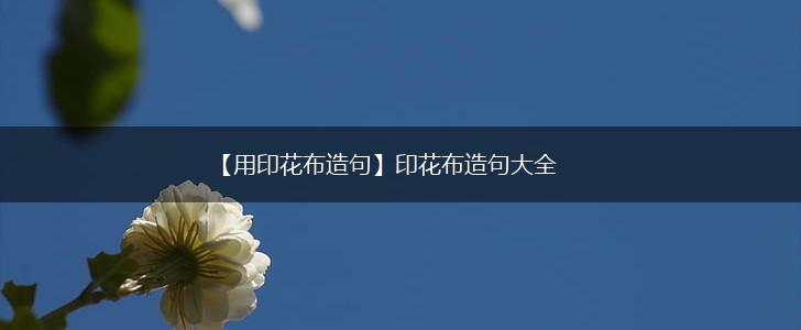 【用印花布造句】印花布造句大全,第1张 【用印花布造句】印花布造句大全,第1张
