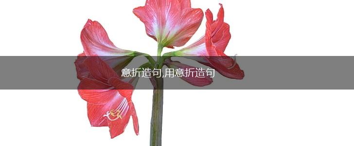 意折造句,用意折造句,第1张