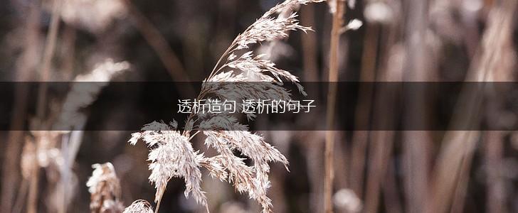 透析造句 透析的句子,第1张