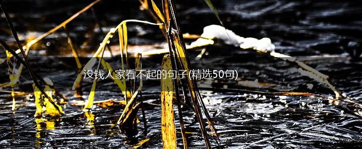 没钱人家看不起的句子(精选50句),第1张