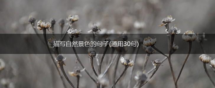 描写自然景色的句子(通用30句),第1张