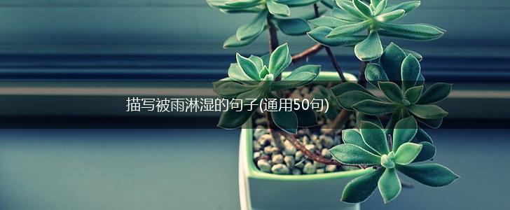 描写被雨淋湿的句子(通用50句),第1张