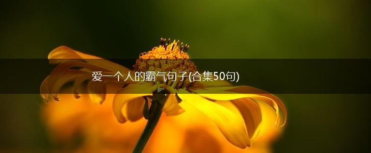 爱一个人的霸气句子(合集50句),第1张