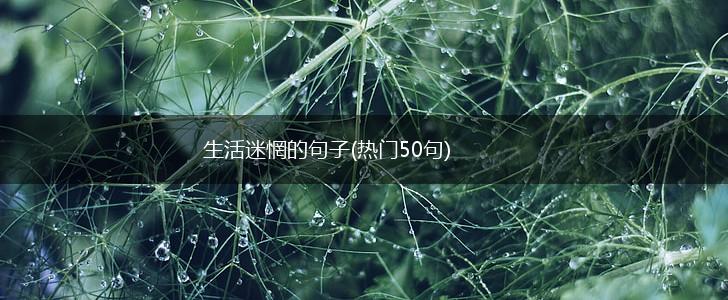 生活迷惘的句子(热门50句),第1张