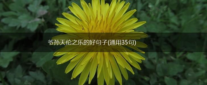 爷孙天伦之乐的好句子(通用35句),第1张