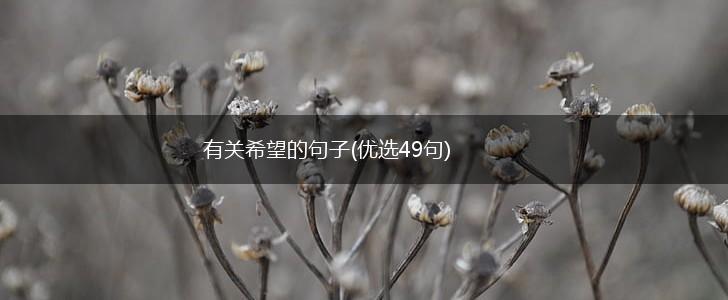 有关希望的句子(优选49句),第1张