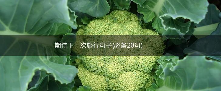 期待下一次旅行句子(必备20句),第1张
