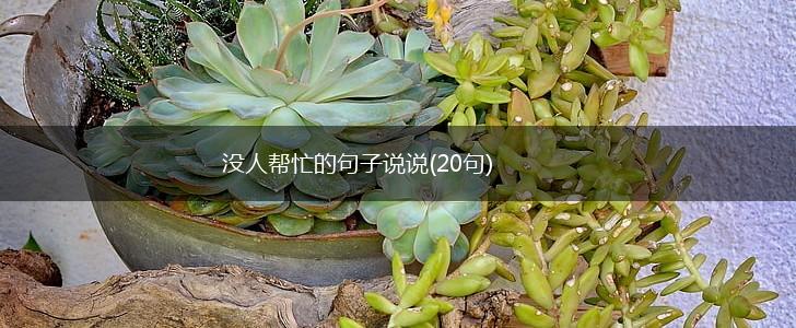 没人帮忙的句子说说(20句),第1张