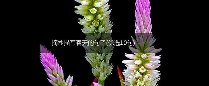 摘抄描写春天的句子(优选10句),第1张