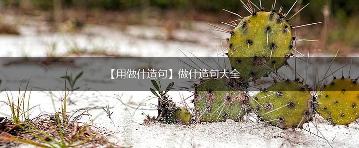 【用做什造句】做什造句大全,第1张