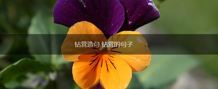 钻营造句 钻营的句子,第1张 钻营造句 钻营的句子,第1张