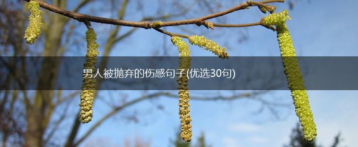 男人被抛弃的伤感句子(优选30句),第1张