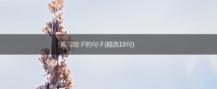描写饺子的句子(精选10句),第1张