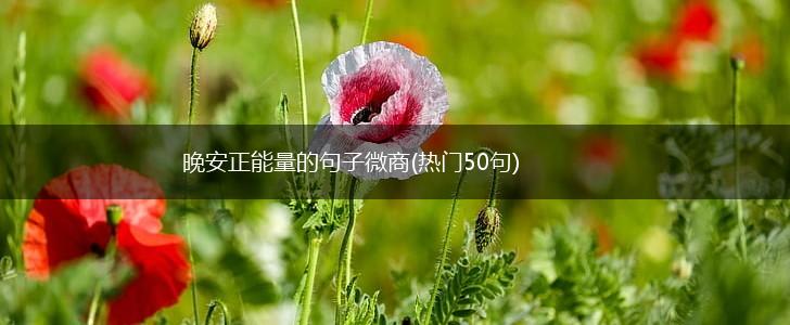 晚安正能量的句子微商(热门50句),第1张