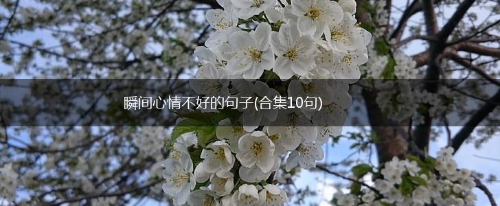 瞬间心情不好的句子(合集10句),第1张