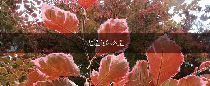 二楚造句怎么造,第1张