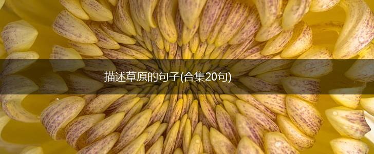 描述草原的句子(合集20句),第1张