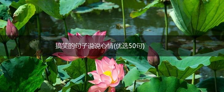搞笑的句子说说心情(优选50句),第1张