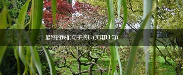 最好的我们句子摘抄(实用11句),第1张