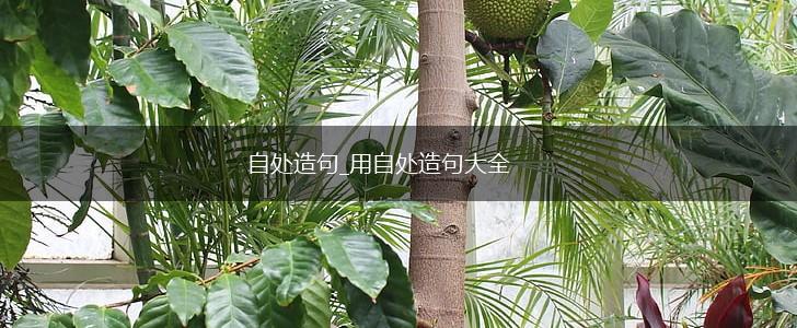 自处造句_用自处造句大全,第1张