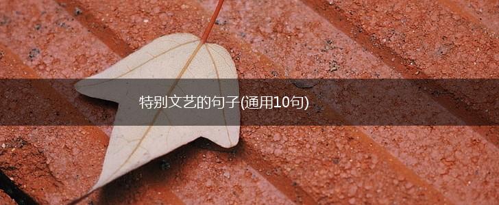 特别文艺的句子(通用10句),第1张