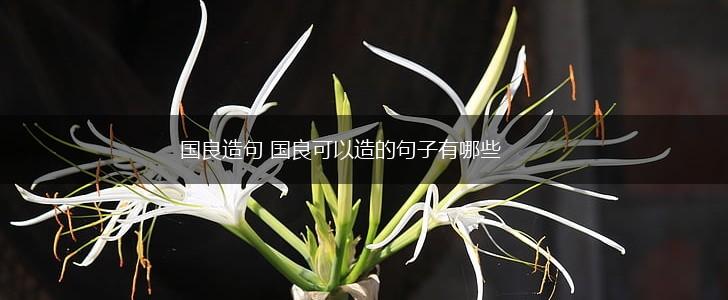 国良造句 国良可以造的句子有哪些,第1张 国良造句 国良可以造的句子有哪些,第1张
