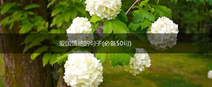 爱国情感的句子(必备50句),第1张