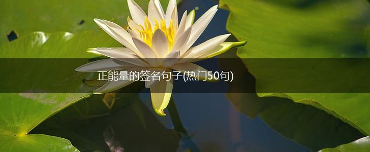 正能量的签名句子(热门50句),第1张