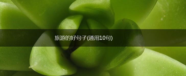 旅游的好句子(通用10句),第1张