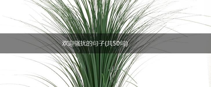 欢迎骚扰的句子(共50句),第1张