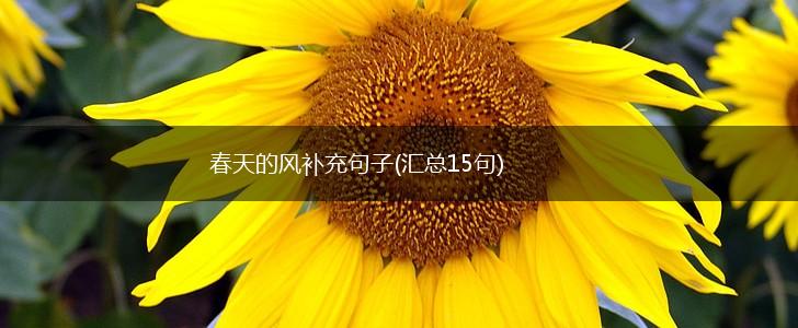 春天的风补充句子(汇总15句),第1张
