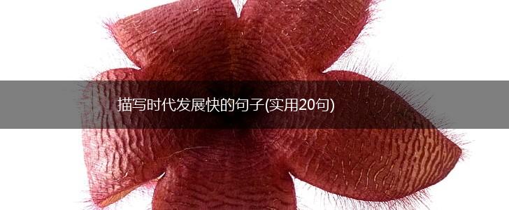 描写时代发展快的句子(实用20句),第1张