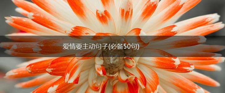 爱情要主动句子(必备50句),第1张