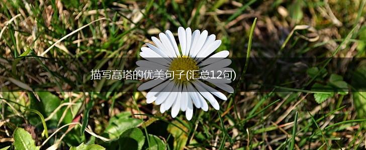 描写高塔的优美句子(汇总12句),第1张