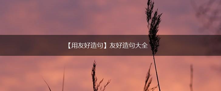 【用友好造句】友好造句大全,第1张 【用友好造句】友好造句大全,第1张