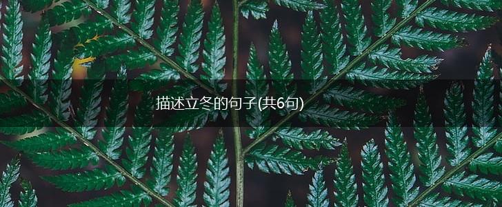 描述立冬的句子(共6句),第1张