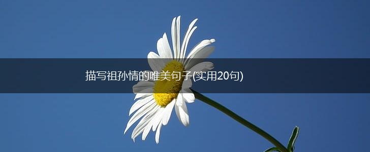 描写祖孙情的唯美句子(实用20句),第1张