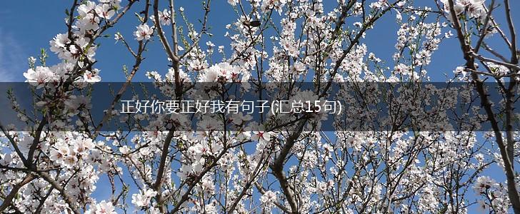 正好你要正好我有句子(汇总15句),第1张