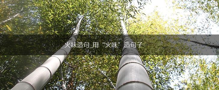 火味造句_用“火味”造句子,第1张 火味造句_用“火味”造句子,第1张