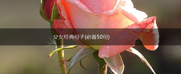 父女经典句子(必备50句),第1张