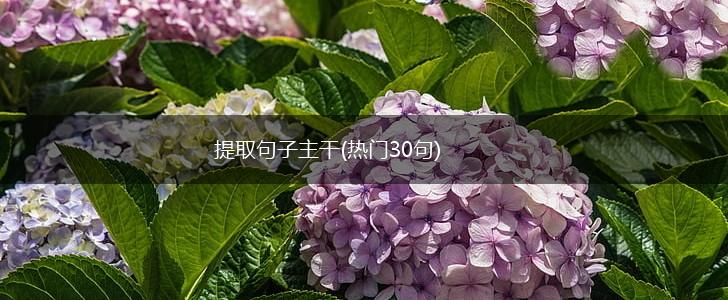 提取句子主干(热门30句),第1张