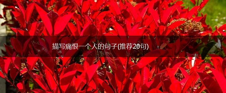 描写痛恨一个人的句子(推荐20句),第1张