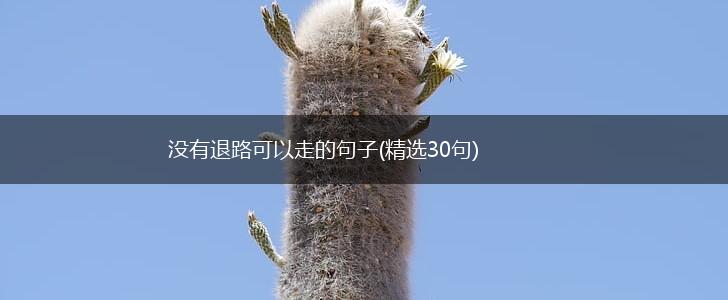 没有退路可以走的句子(精选30句),第1张